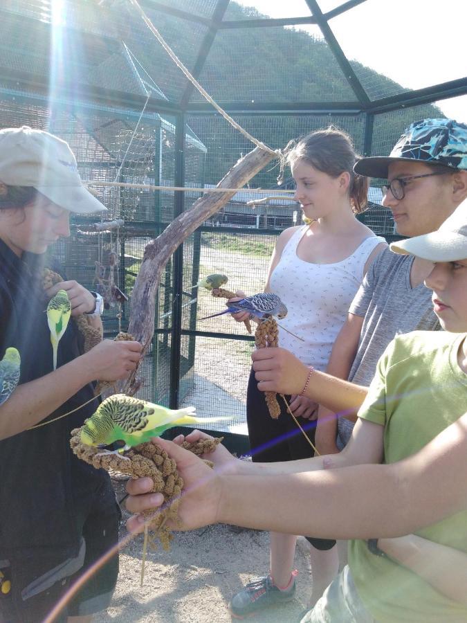 Parc Animalier Du Herisson Villa Doucier Dış mekan fotoğraf