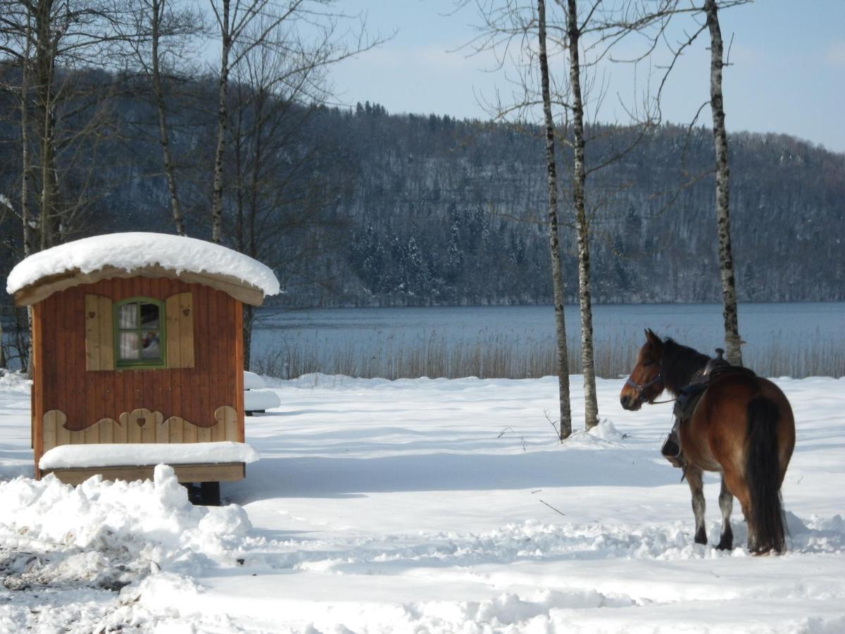 Parc Animalier Du Herisson Villa Doucier Dış mekan fotoğraf