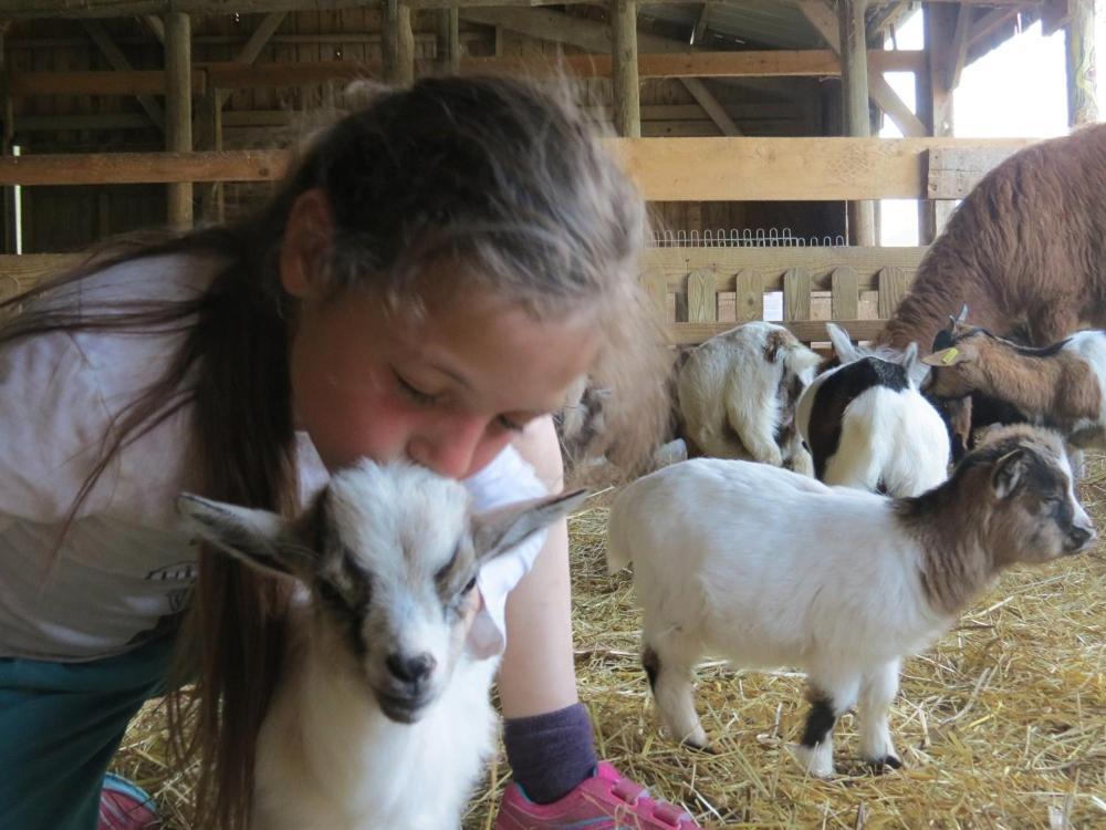 Parc Animalier Du Herisson Villa Doucier Dış mekan fotoğraf